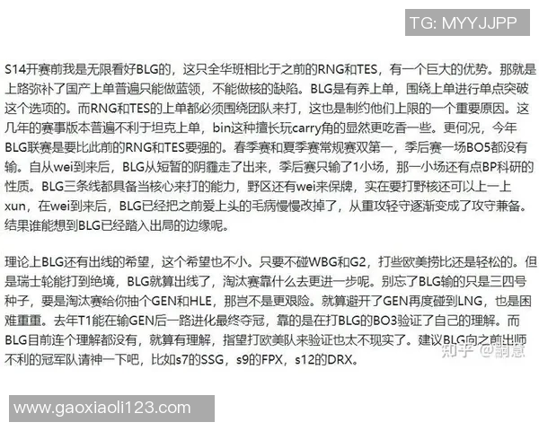 赛后复盘：RNG与BLG对决中的战术较量与团队协作分析