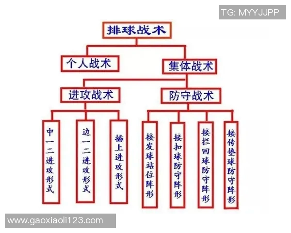 北京排球队的节奏揭秘：深度解析排球运动的魅力与战术策略