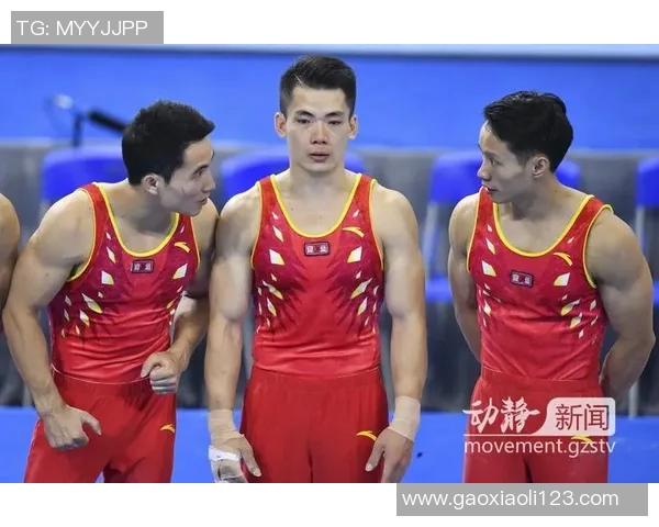 杨强专访揭秘排球成功秘诀与团队协作的重要性