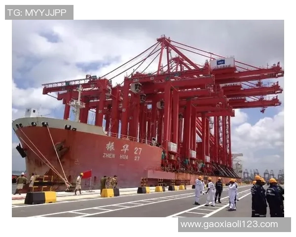 深圳排球队区域防守创新之路：重塑战术格局与团队协作新篇章