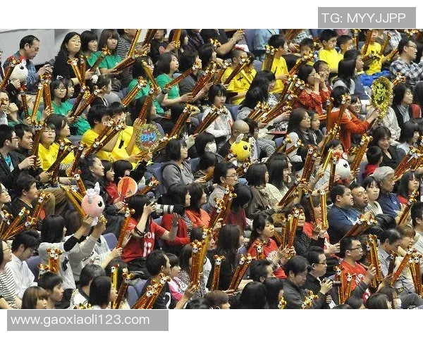 重庆排球队实力引发热议球迷对球队表现的分歧与期待