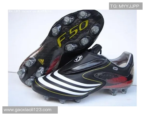 荷兰足球明星黑猪的精彩瞬间与背后的故事揭秘