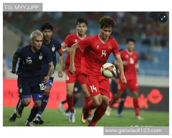 越南野场足球明星的崛起与影响力探讨