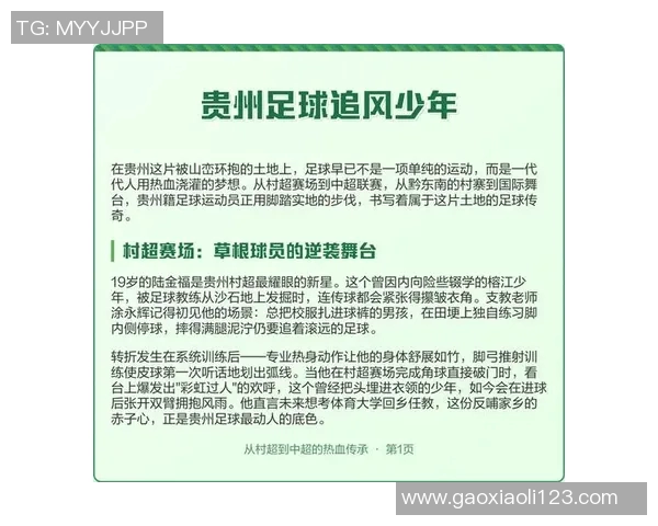 足球明星的传奇故事与赛场背后的辛酸历程全记录 足球明星的传奇故事与赛场背后的辛酸历程全记录
