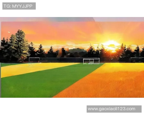 足球明星的荣耀与奋斗:他们如何改变了这项运动的未来