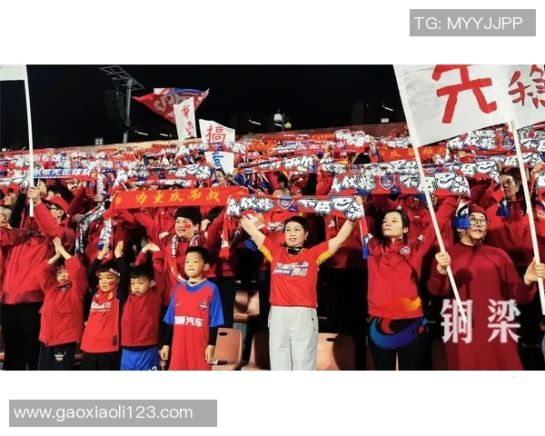 重庆排球队比赛经验引发热议球迷观点各异引发争论