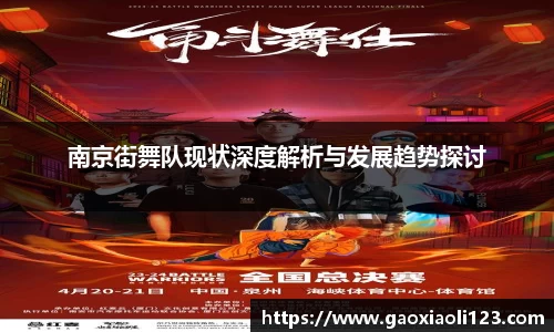 南京街舞队现状深度解析与发展趋势探讨