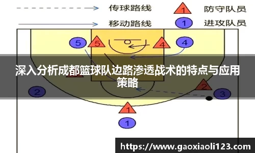 深入分析成都篮球队边路渗透战术的特点与应用策略