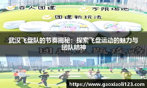 武汉飞盘队的节奏揭秘：探索飞盘运动的魅力与团队精神