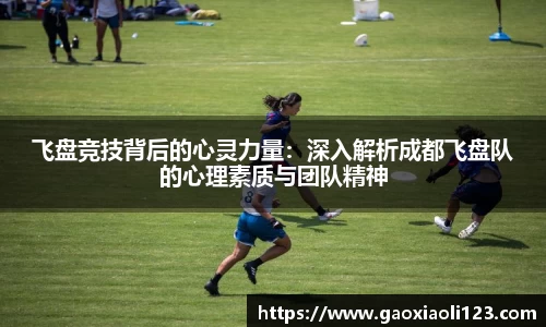 飞盘竞技背后的心灵力量：深入解析成都飞盘队的心理素质与团队精神