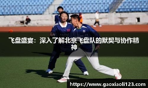 飞盘盛宴：深入了解北京飞盘队的默契与协作精神