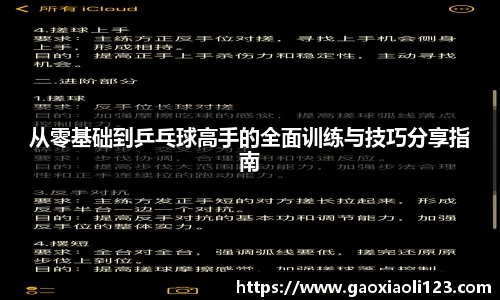 从零基础到乒乓球高手的全面训练与技巧分享指南