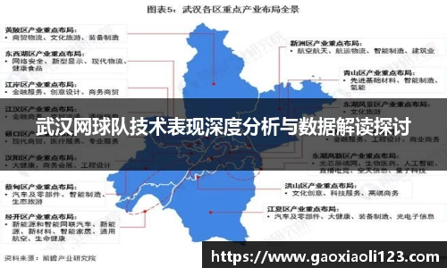 武汉网球队技术表现深度分析与数据解读探讨