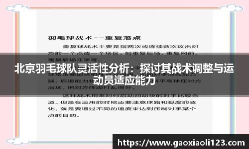 北京羽毛球队灵活性分析：探讨其战术调整与运动员适应能力
