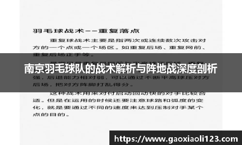 南京羽毛球队的战术解析与阵地战深度剖析