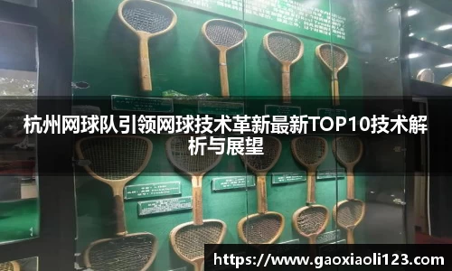 杭州网球队引领网球技术革新最新TOP10技术解析与展望
