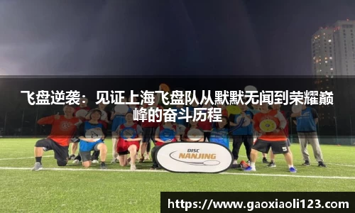 飞盘逆袭：见证上海飞盘队从默默无闻到荣耀巅峰的奋斗历程