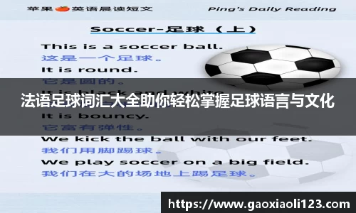 法语足球词汇大全助你轻松掌握足球语言与文化