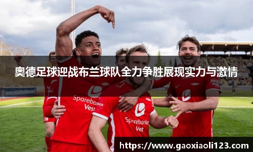 奥德足球迎战布兰球队全力争胜展现实力与激情